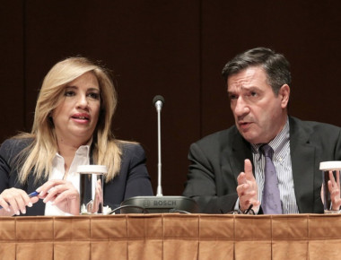 Έξαλλη με τις δηλώσεις Γ.Καμίνη η Φώφη Γεννηματά (φωτό)